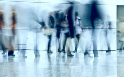 November 23, 2020: New issue of the CASRA newsletter available now!