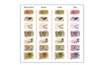 July, 2025: Waggoner’s Computerized Color Vision Test Available Now!